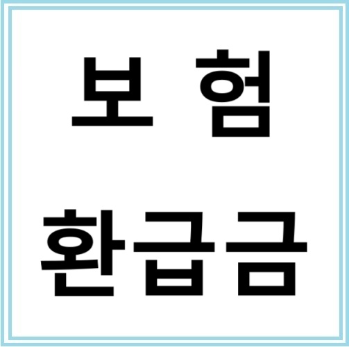 의료보험 환급금 조회하는 방법과 신청