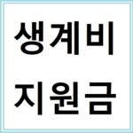 긴급생계비지원금 신청 방법과 유의사항