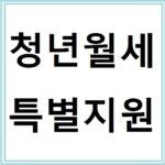 복지로에서 바로 신청 가능한 청년월세 한시 특별지원금